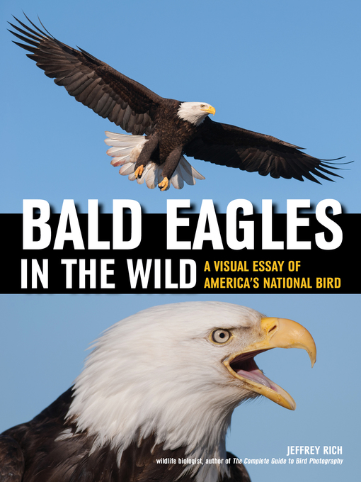 Title details for Bald Eagles In the Wild by Jeffrey Rich - Available
